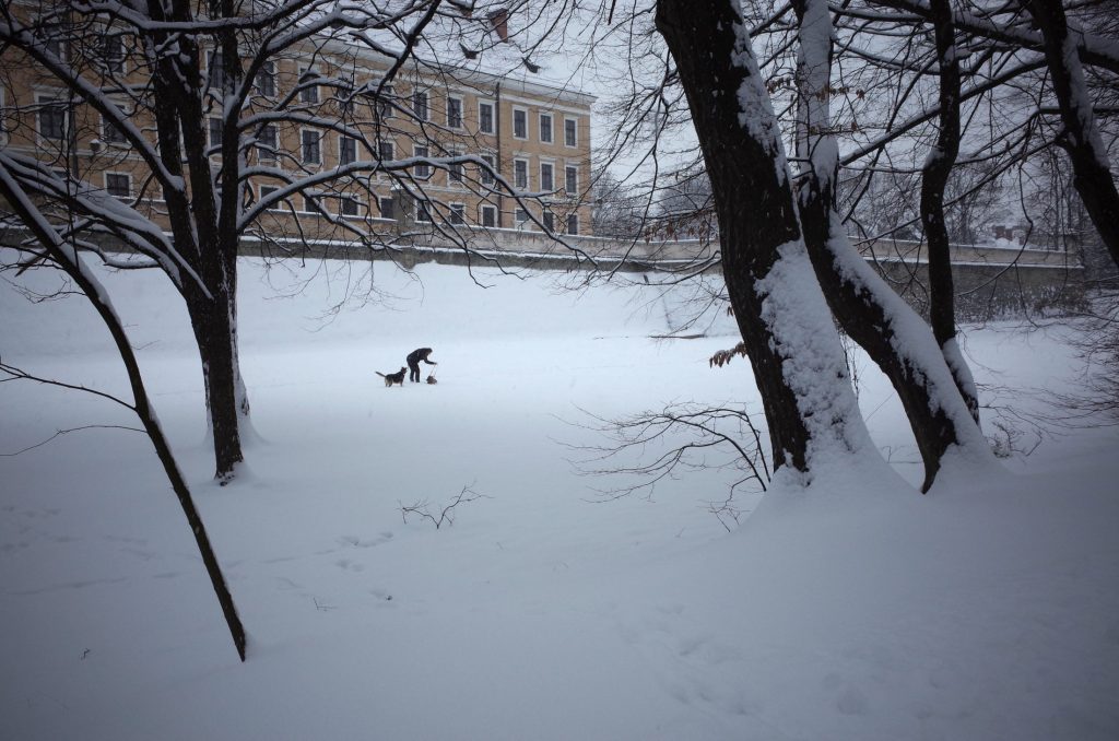Zima, fosa, zamek Lubomirskich w Rzeszowie