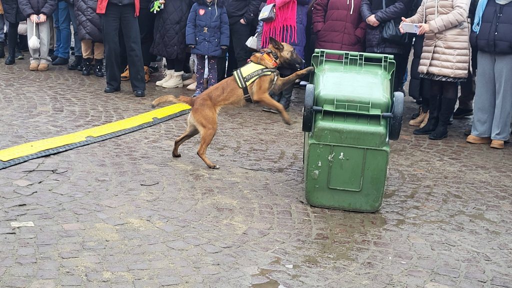 WOŚP 2026 w Rzeszowie