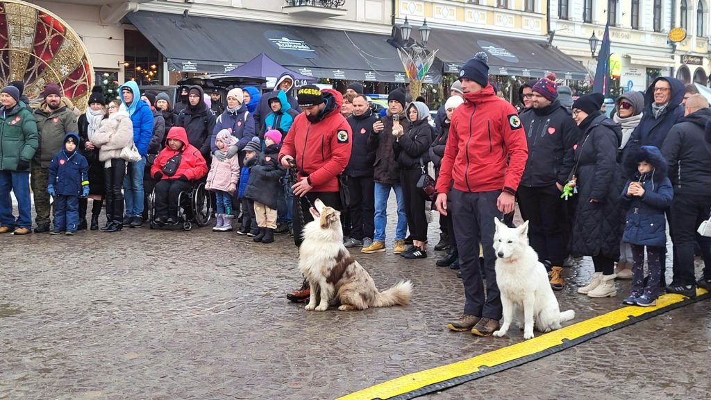 WOŚP 2026 w Rzeszowie