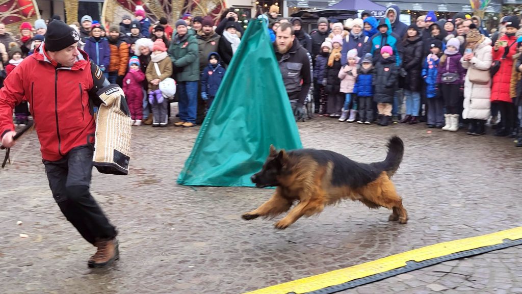Pies obronny na WOŚP