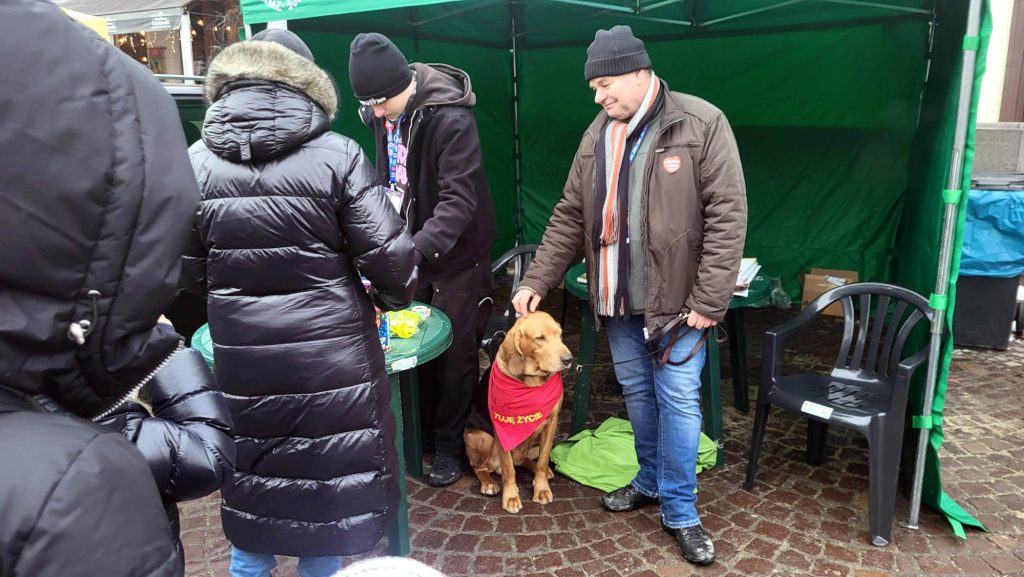 Lucky - pies ratownik