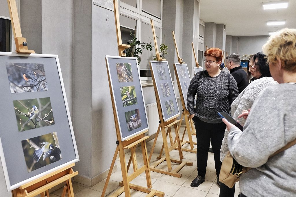 Wystawa zdjęć ptaków w RDK