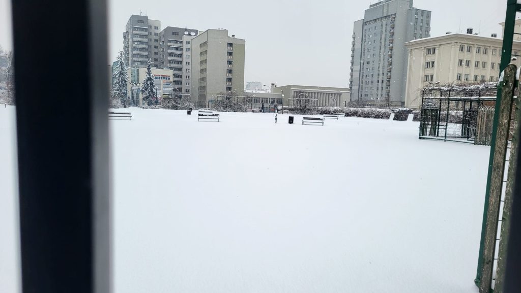 Ogrody Bernardyńskie w Rzeszowie, zima 2026