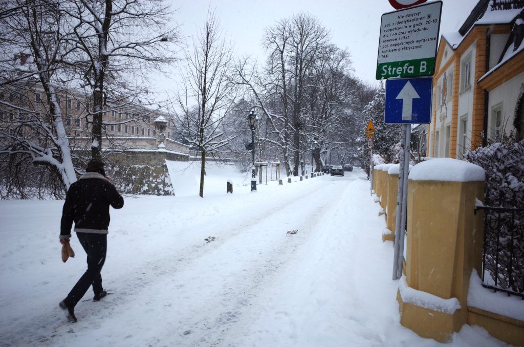 Zima, aleja Pod Kasztanami w Rzeszowie