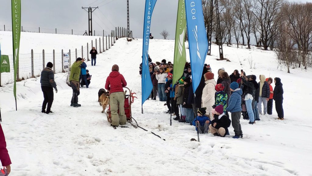 W Krainie Wilka - wyścigi psich zaprzęgów w Bieszczadach