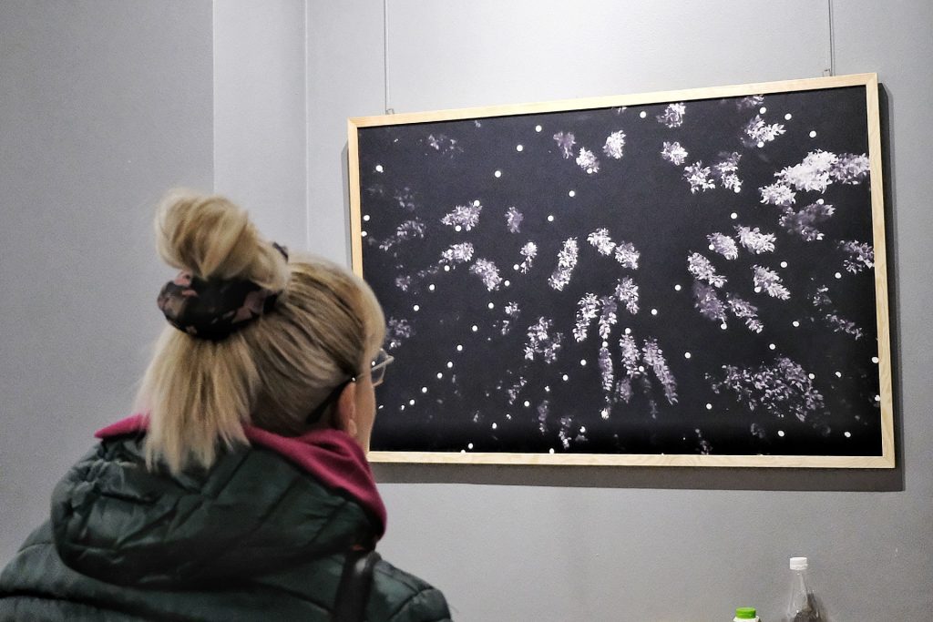 52flickers - zdjęcia w Rzeszowie