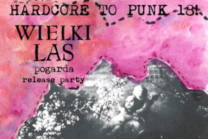 Hardcore to Punk, vol. 18