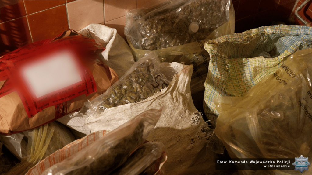 Narkotyki w powiecie łańcuckim
