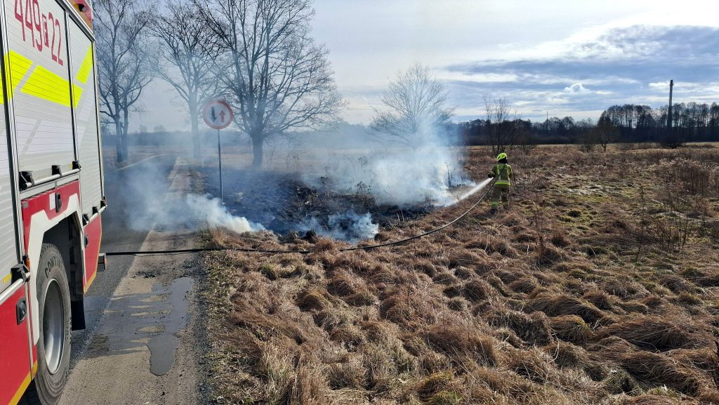 Pożar traw, wypalanie