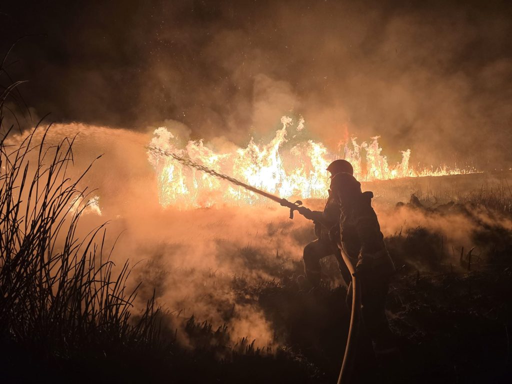 Pożar, wypalanie traw