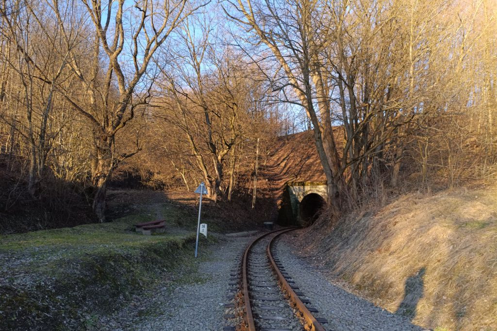 Tunel Przeworskiej Kolejki Wąskotorowej