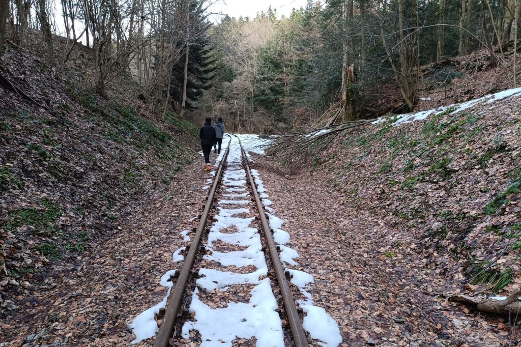 Przeworska Kolejka Wąskotorowa