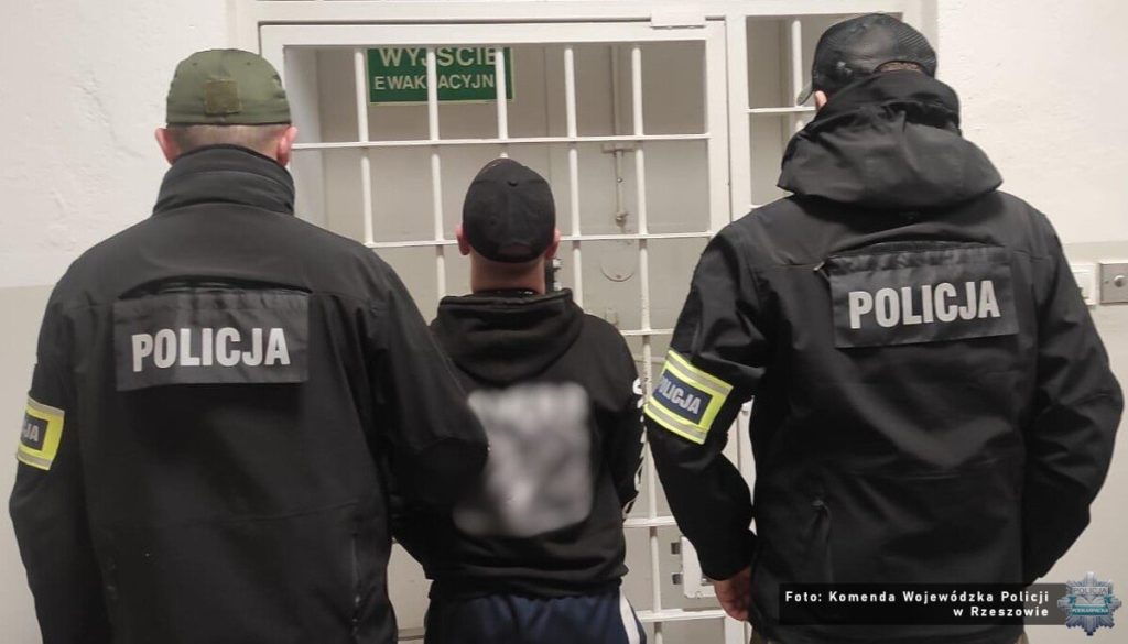 Zatrzymanie przestępcy