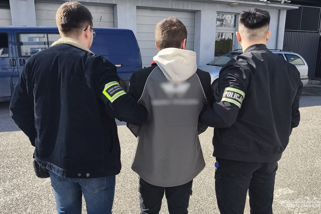 Zatrzymanie przestępcy