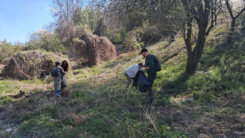 sprzątanie na kopcu