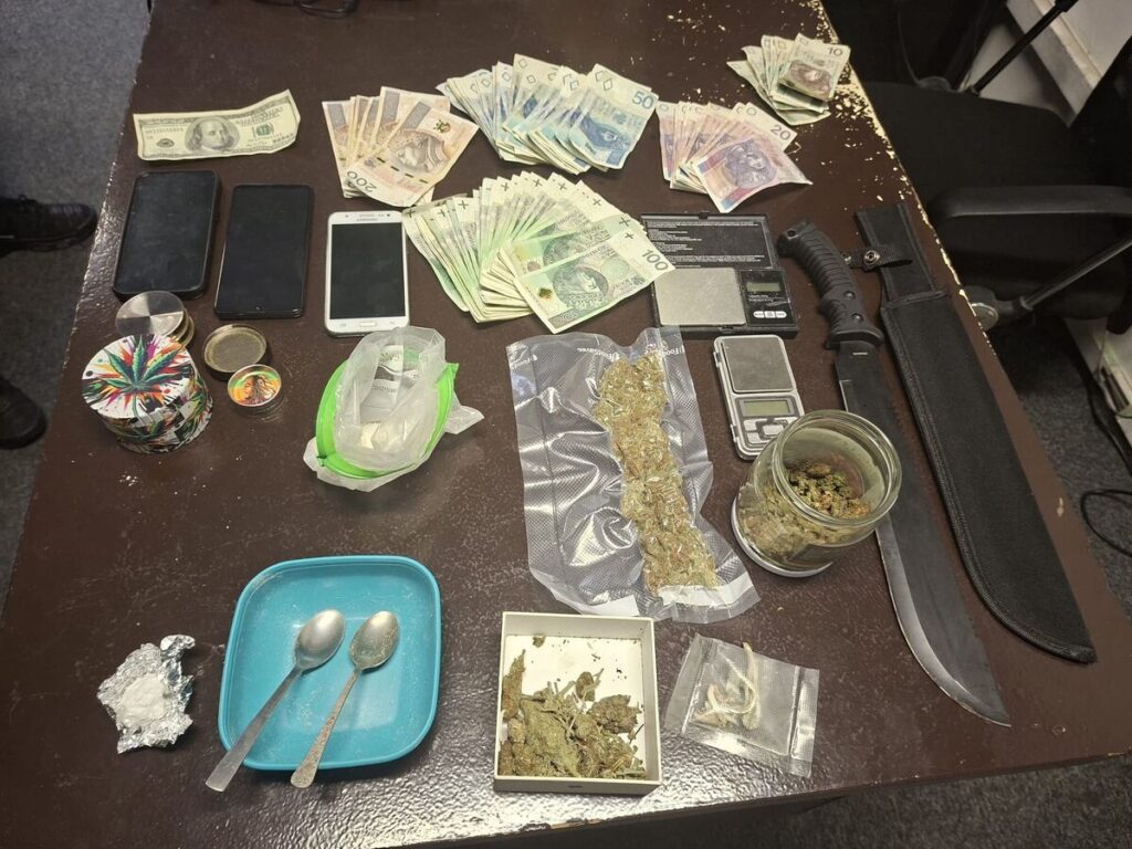 Narkotyki w mieszkaniu 21-latka