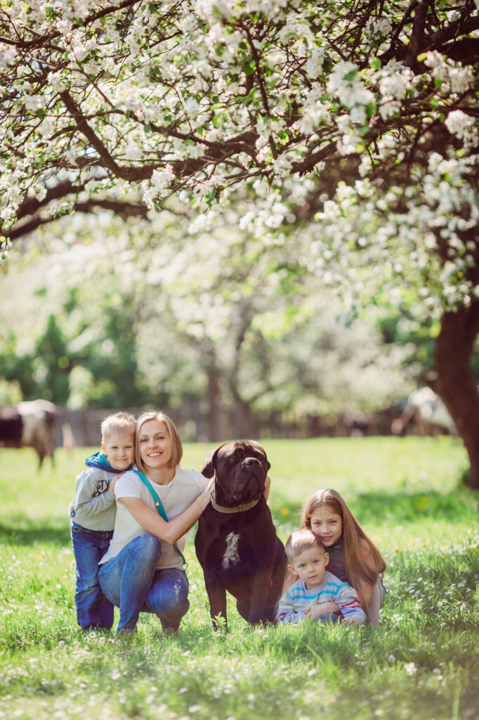 Pies z rodzina na spacerze