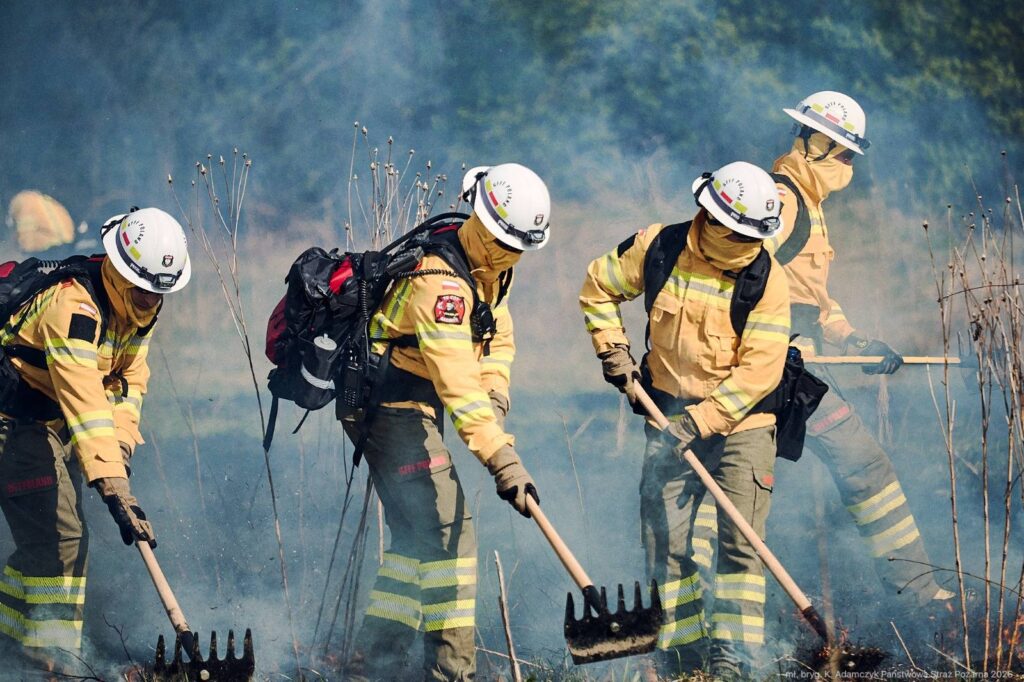 Strażacy gaszą pożar traw