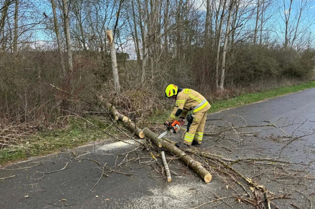 Strażak usuwa przewrócone drzewo