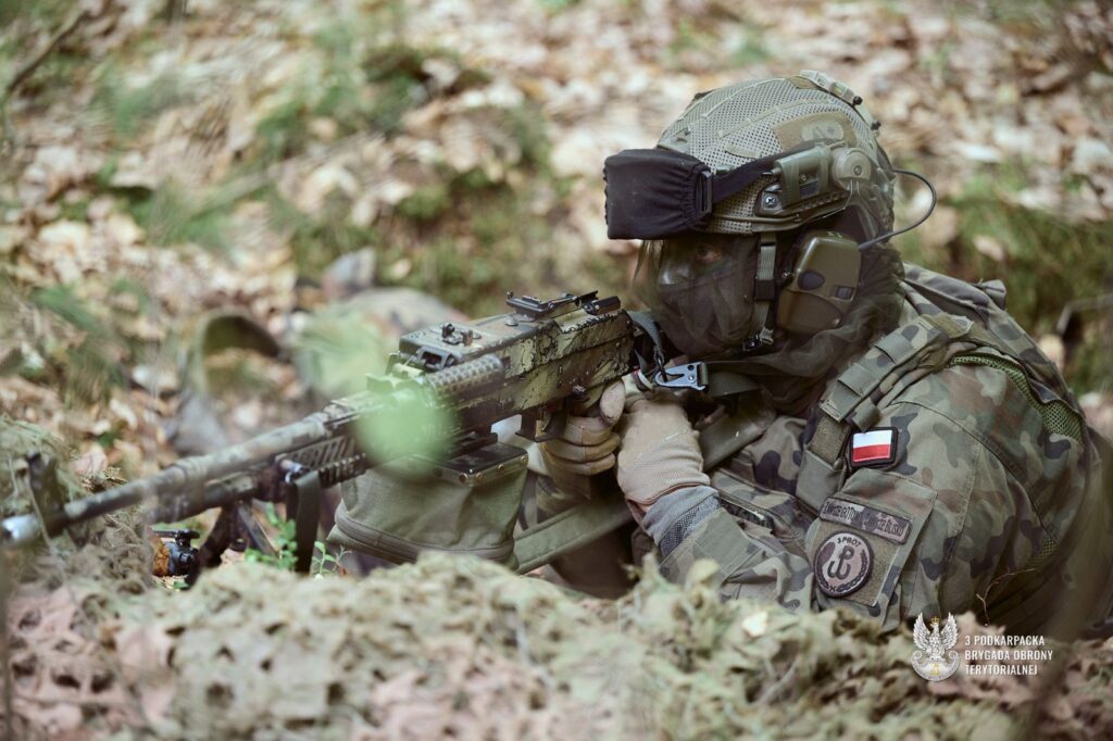 Żołnierz wojsk terytorialnych z karabinem