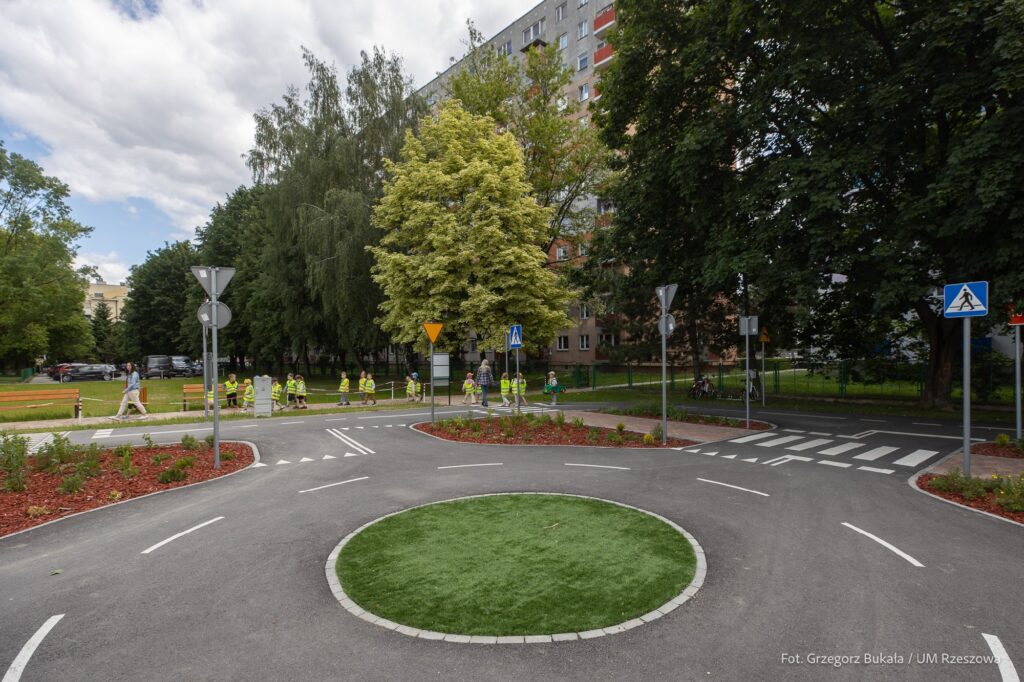 nowe nasadzenia