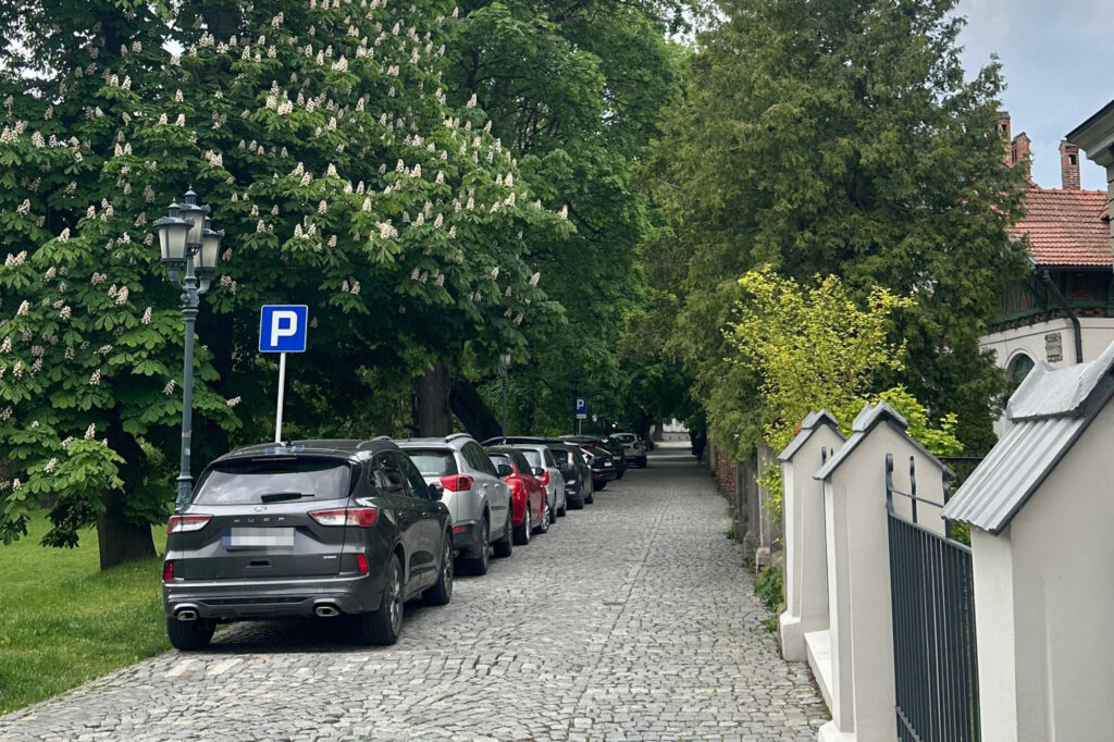 Parking Pod Kasztanami