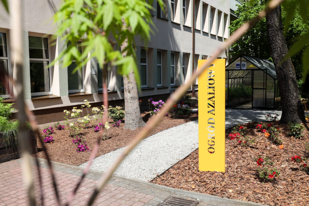 Ogród azaliowy na Zalesiu