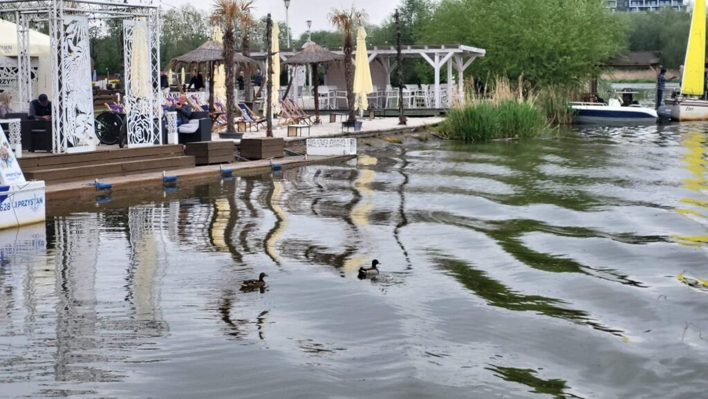 widok na marinę