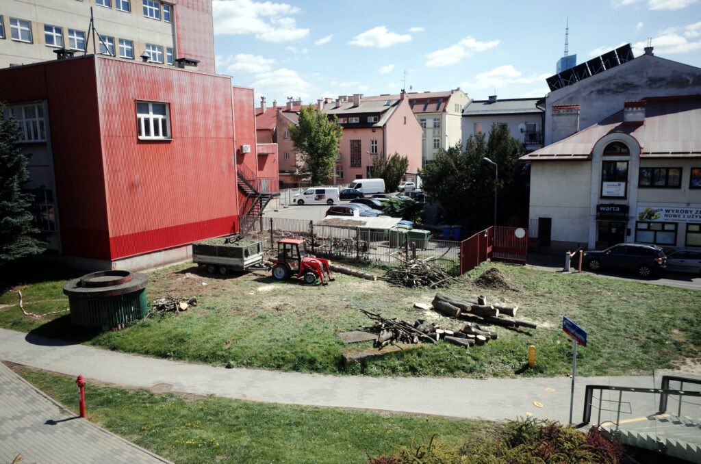 Drzewa wyciete przy poczcie w centrum Rzeszowa