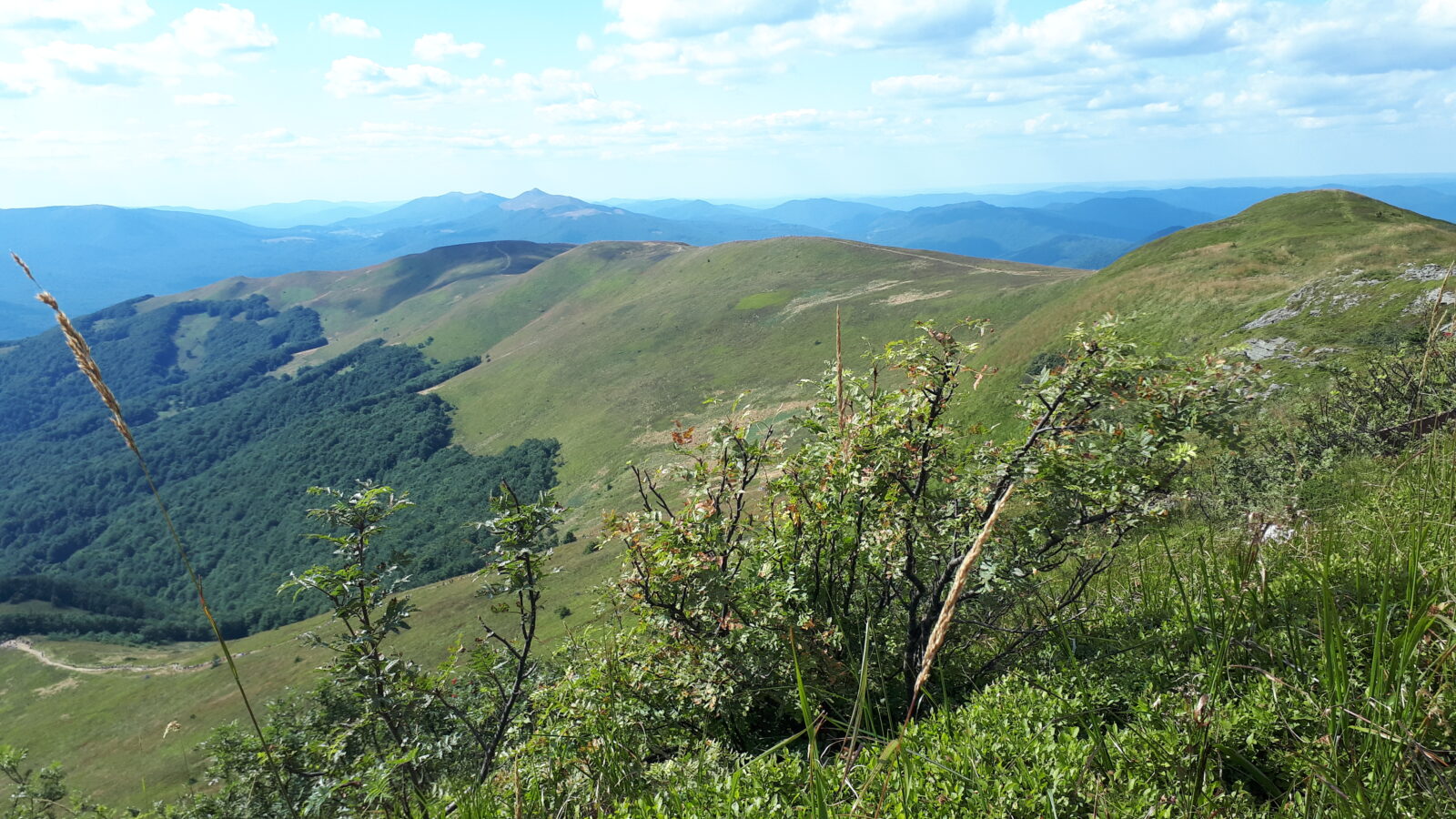 bieszczady lato