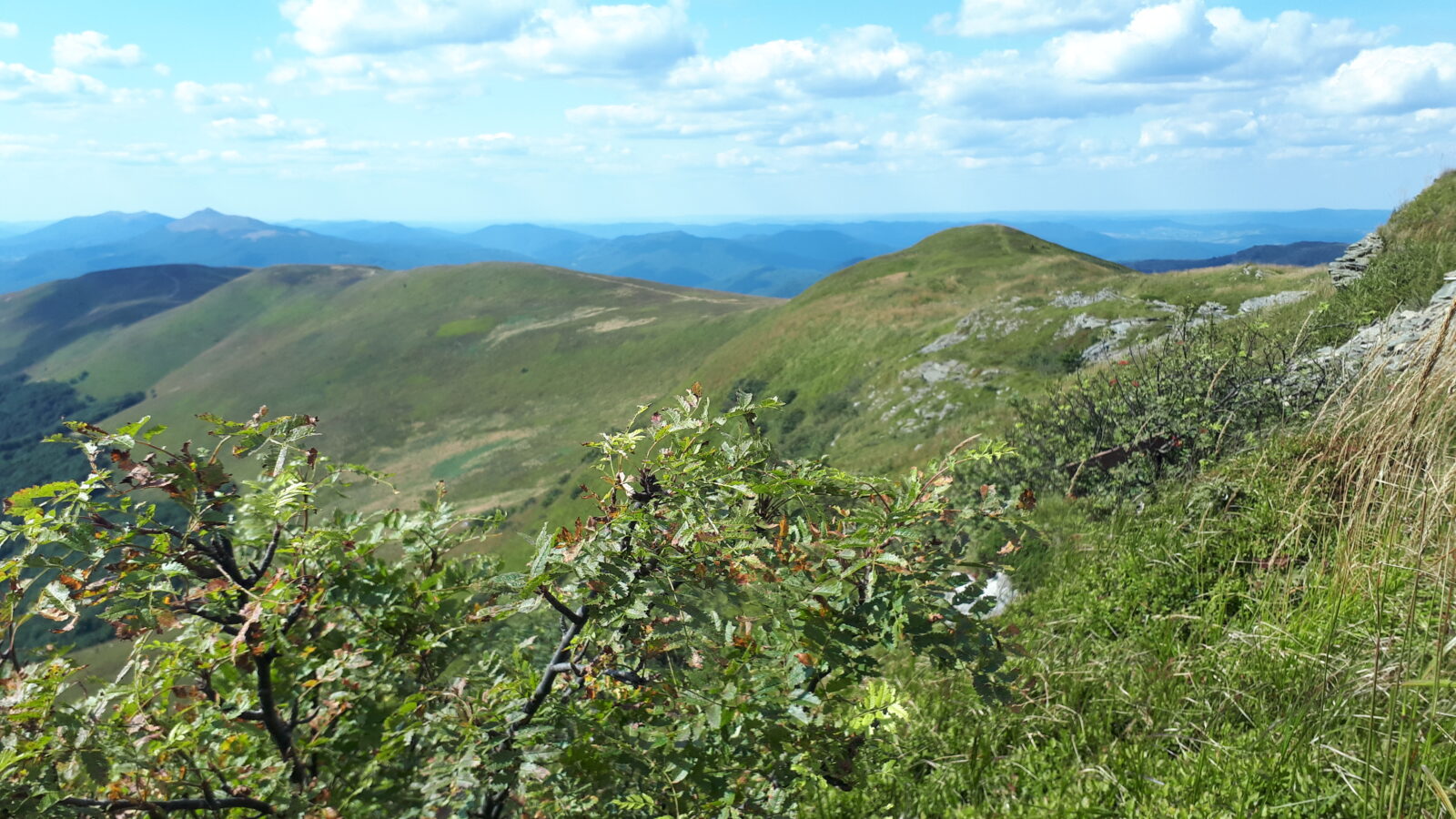 bieszczady lato