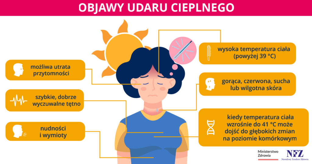 grafika