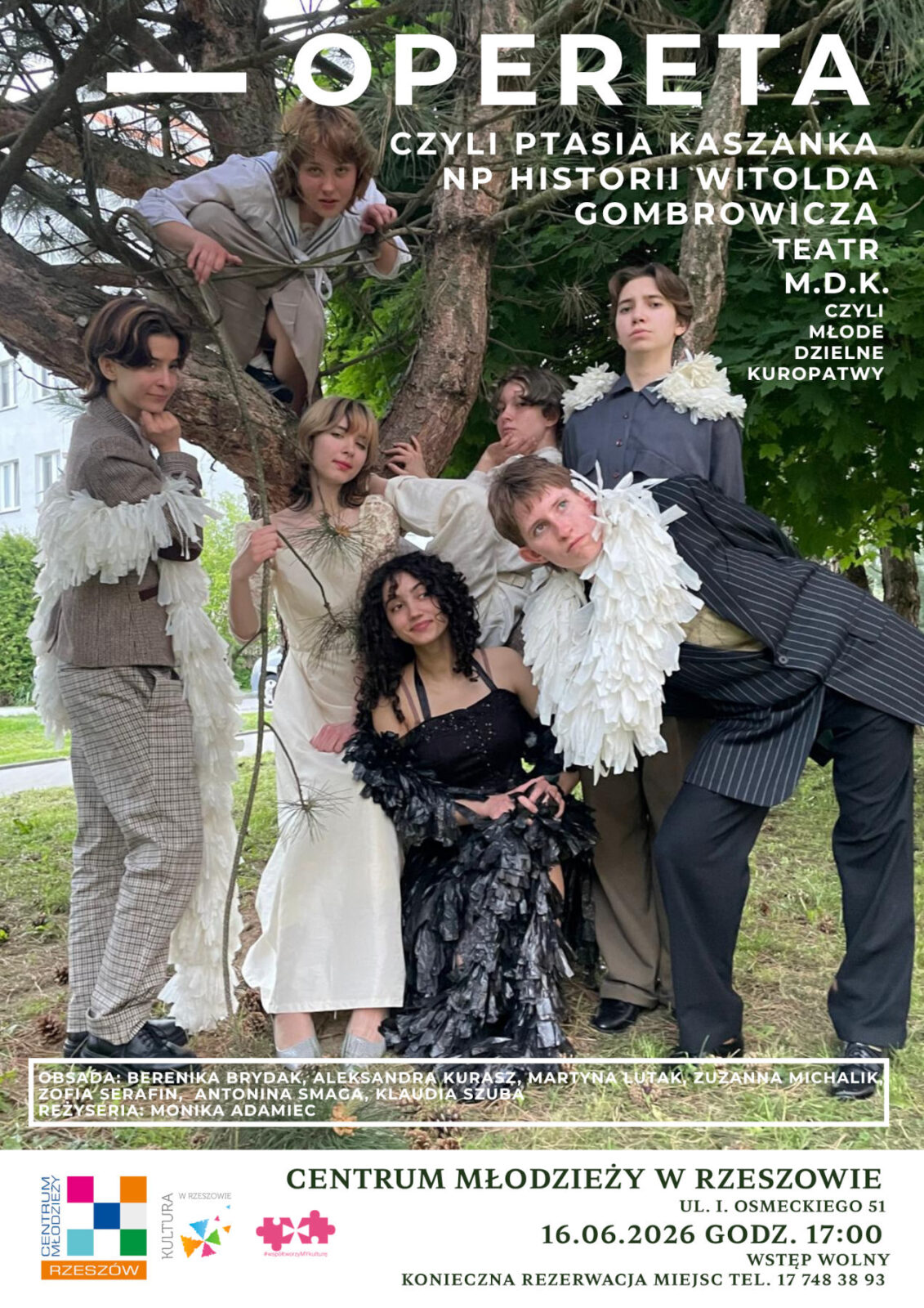 OPERETA, czyli ptasia kaszanka