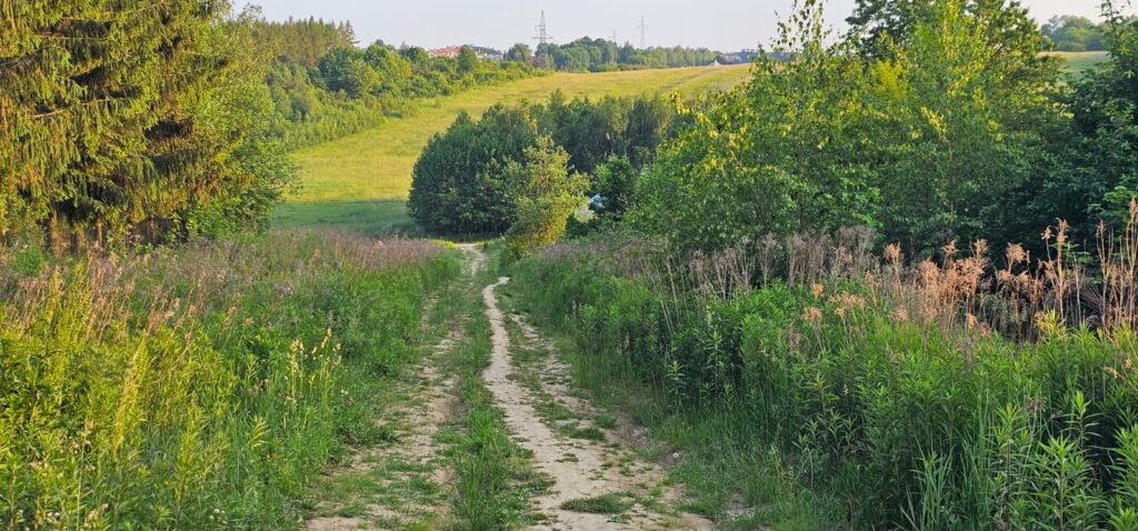 Saroniwa połączy się z osiedlem Kotuli. 