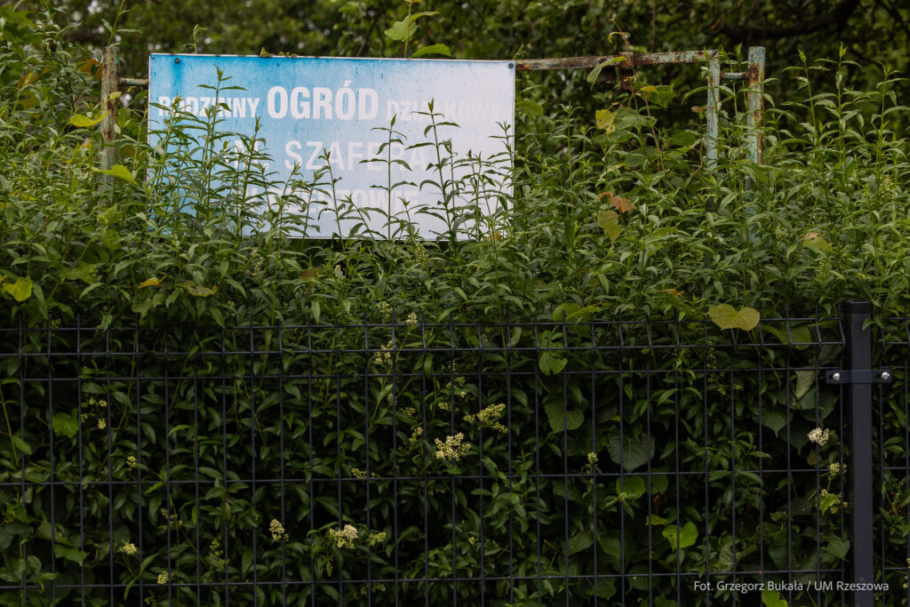 Rodzinny Ogród Działkowy im. Władysława Szafera w Rzeszowie