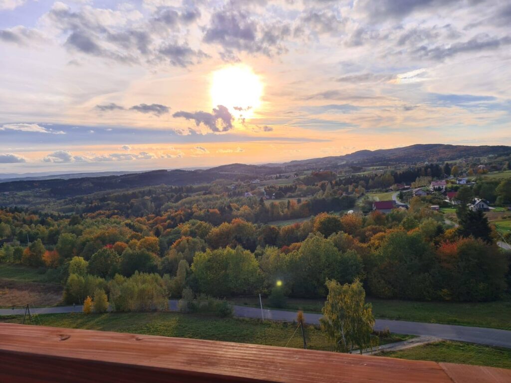 Widok z wieży w Wisowej