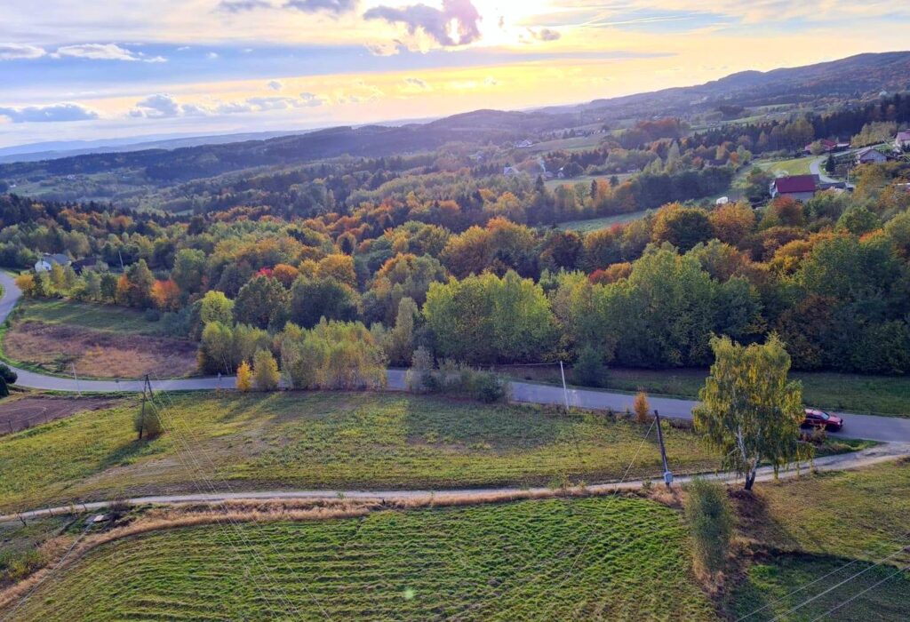 widok z wieży w gm. Jodłowa