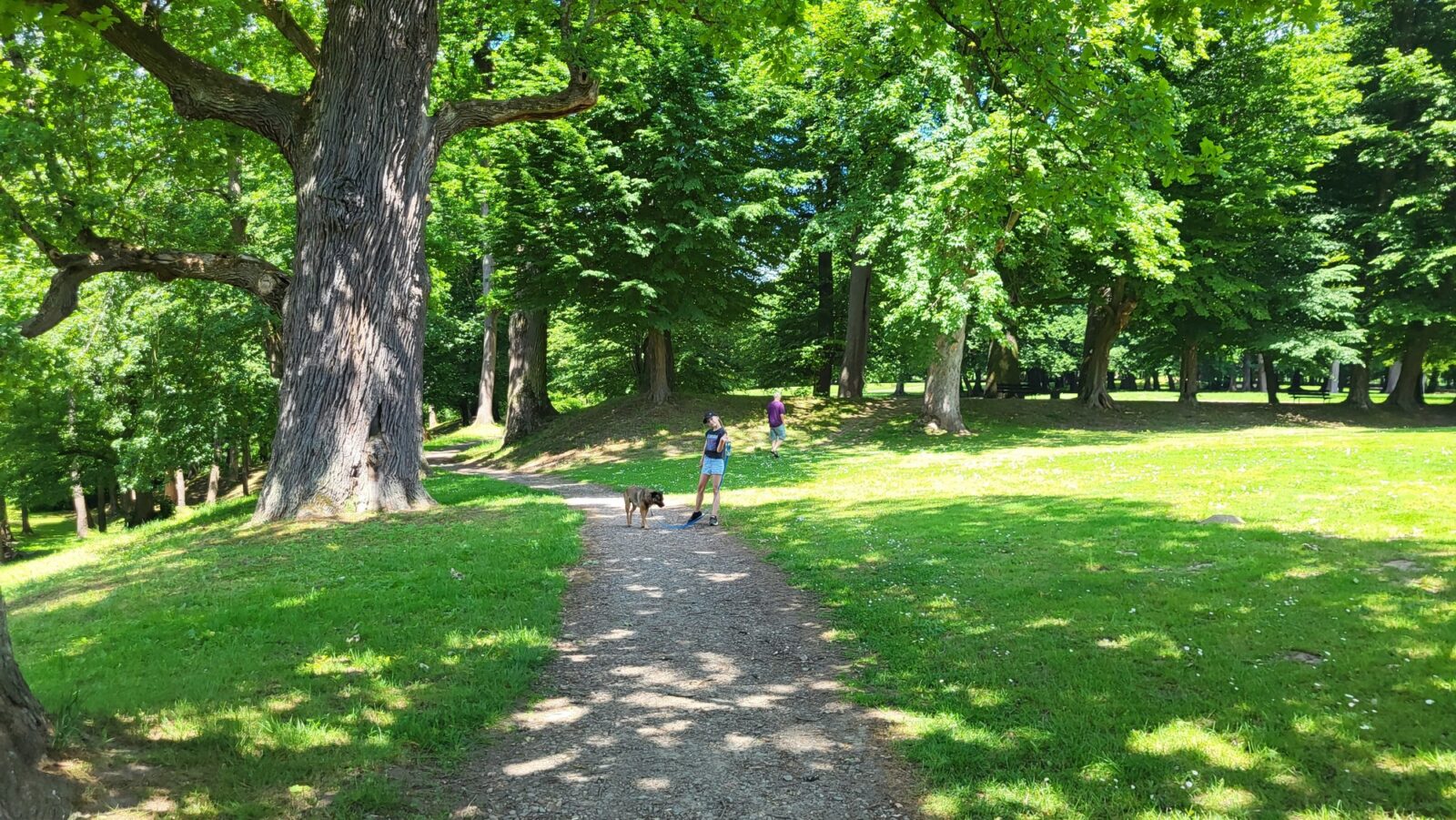 park w Wiśniowej