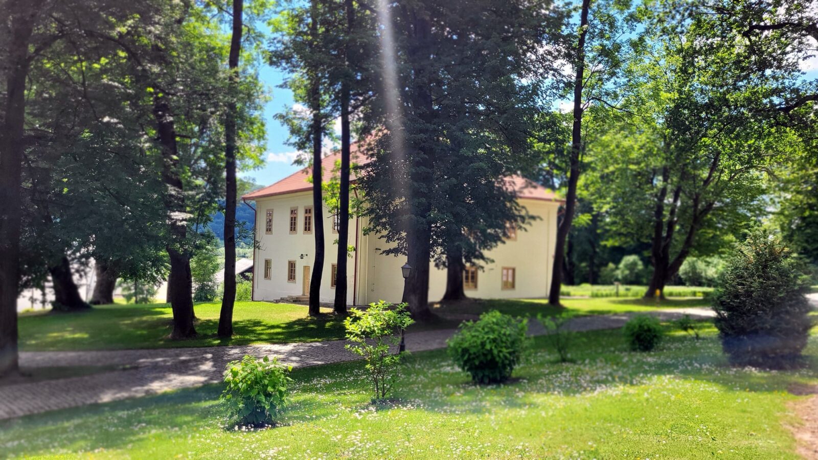 Wiśniowa