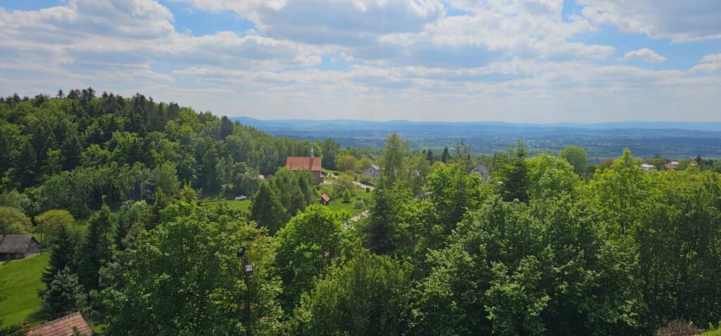 Widok z Zamku w Kamieńcu