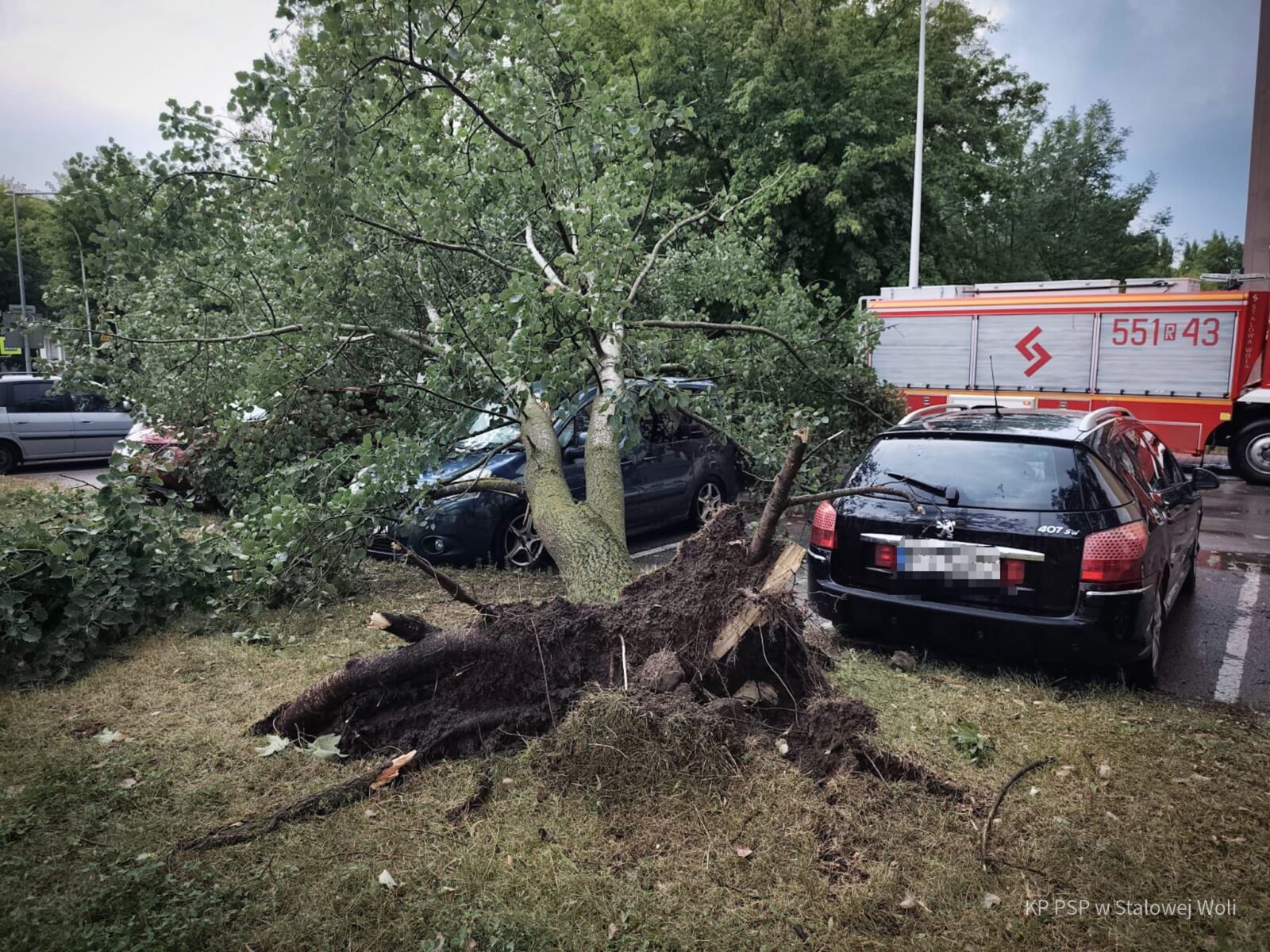 Burze nad Podkarpaciem - drzewo na samochodzie