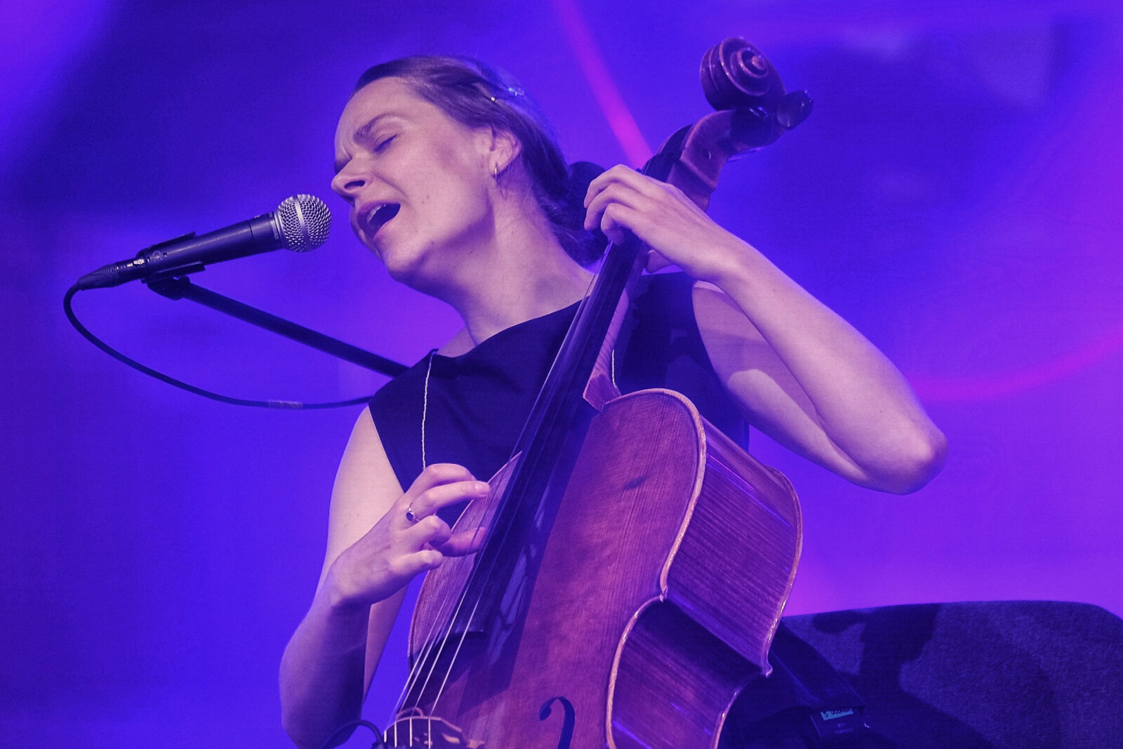 Dobrawa Czocher - koncert