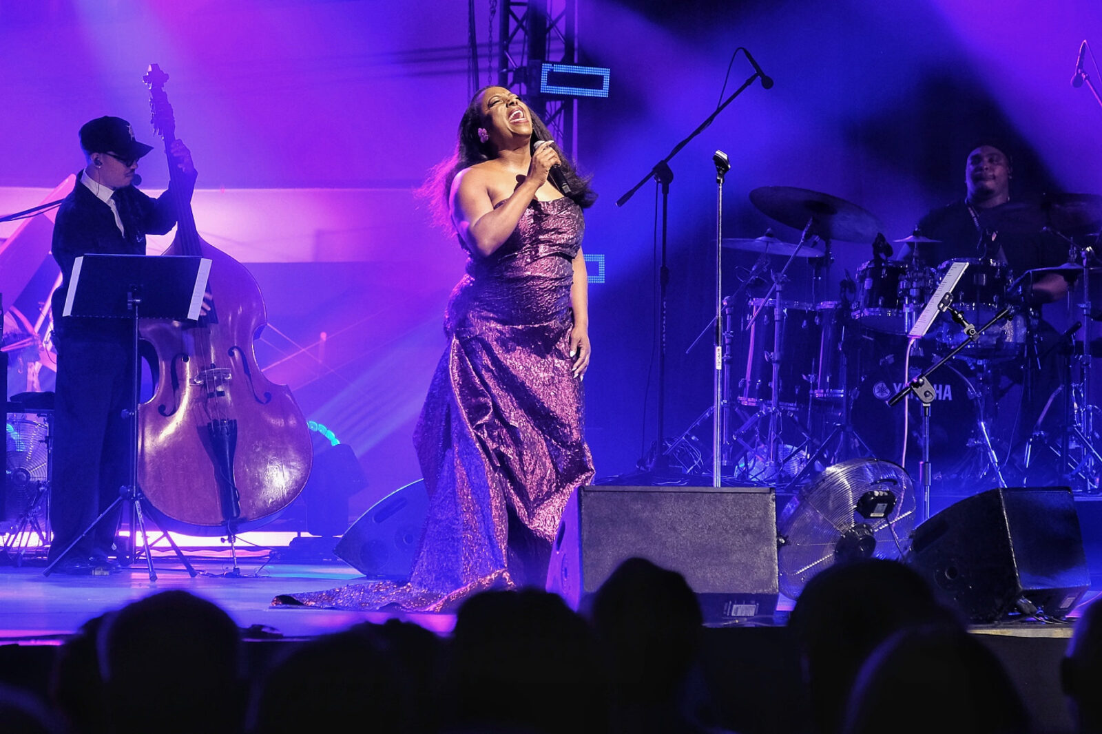 Ledisi - Young Arts Festival 2026