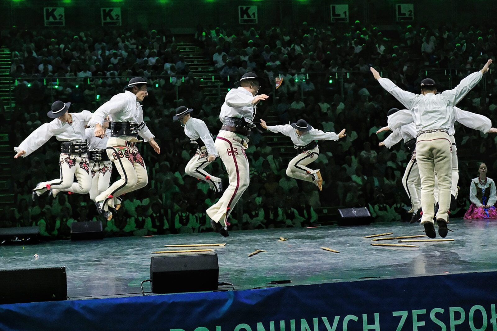 XX Światowy Festiwal Polonijnych Zespołów Folklorystycznych w Rzeszowie