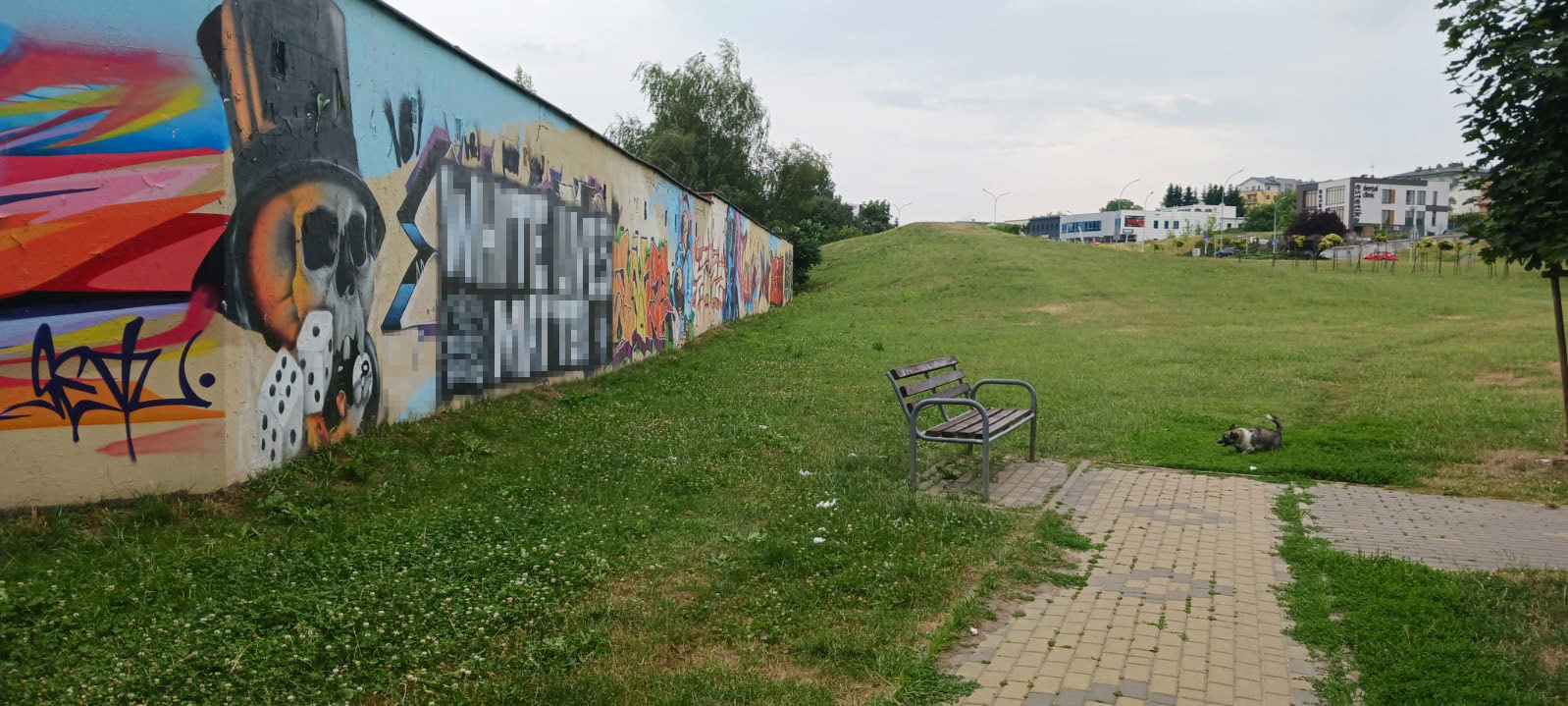 graffiti na garażach