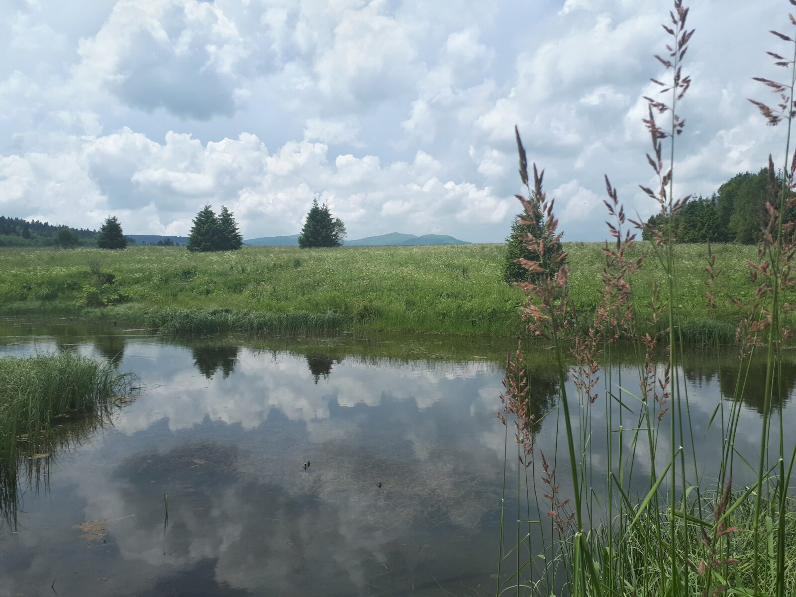 Źródła Sanu