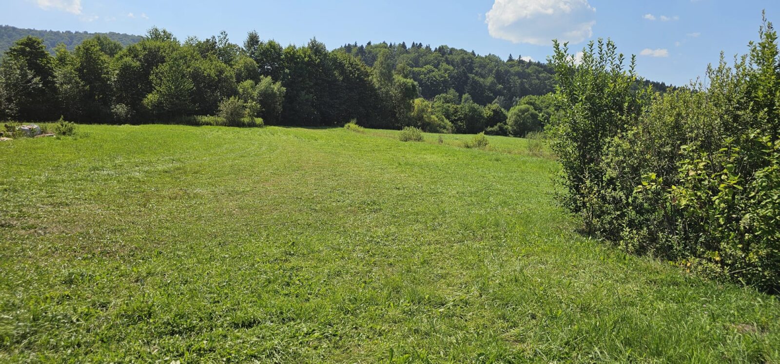 Pole namiotowe w Klimkówce