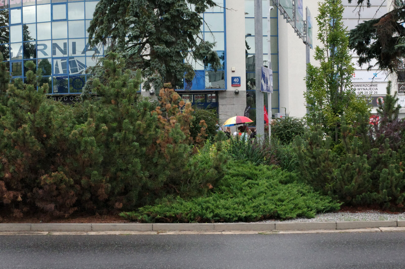 7. Marsz Równości w Rzeszowie. | Fot. Grzegorz Król