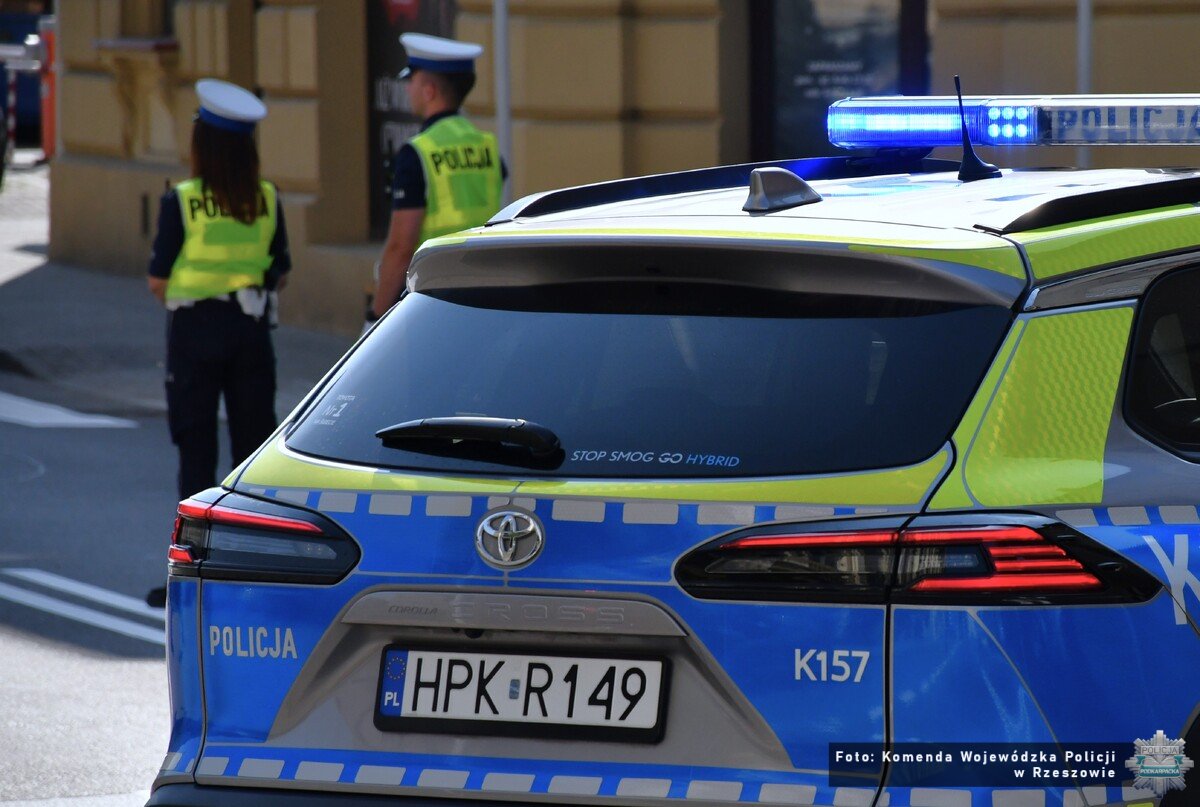 Policyjna kontrola