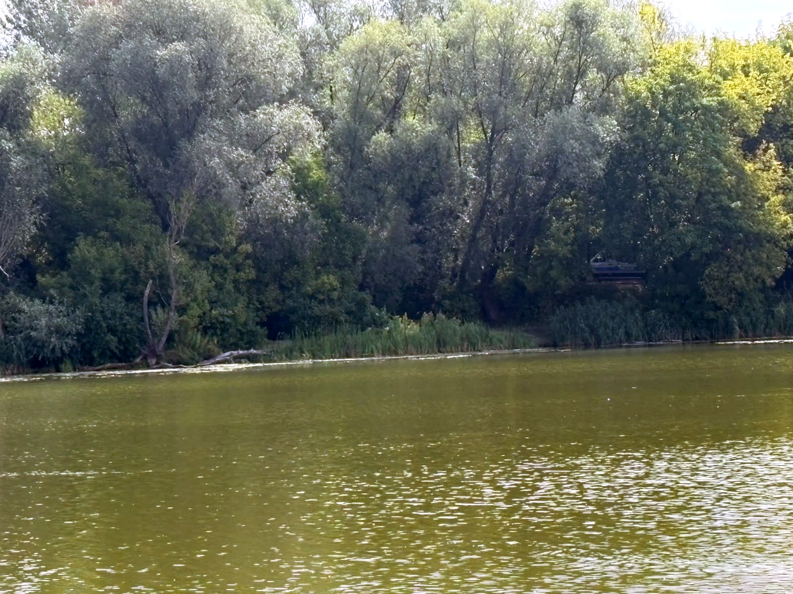 Żwirownia
